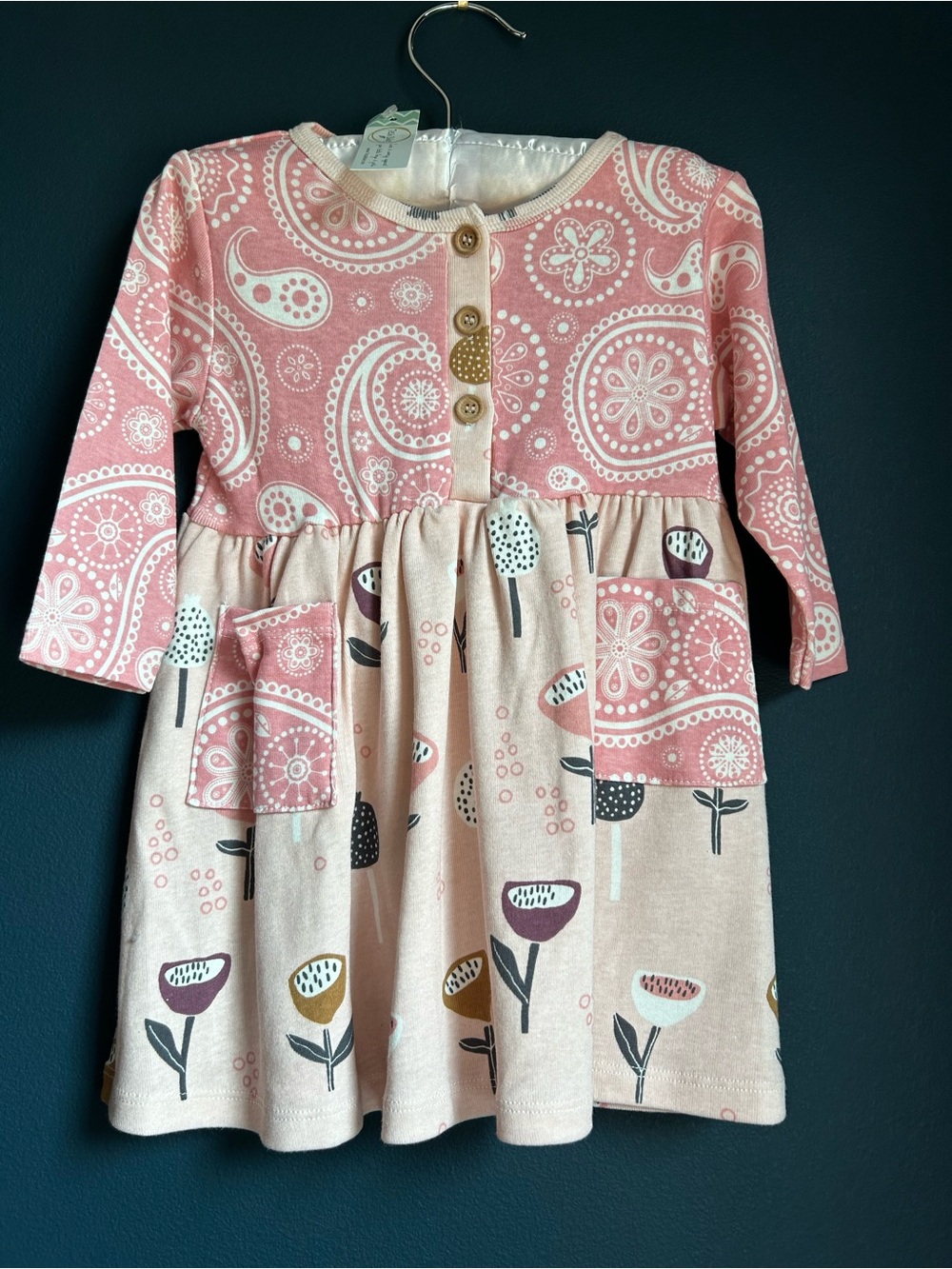 Girls' Pink Paisley & Floral Long-Sleeve Knit Dress NWT